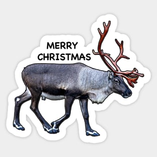 Santa Claus Reindeer Sticker